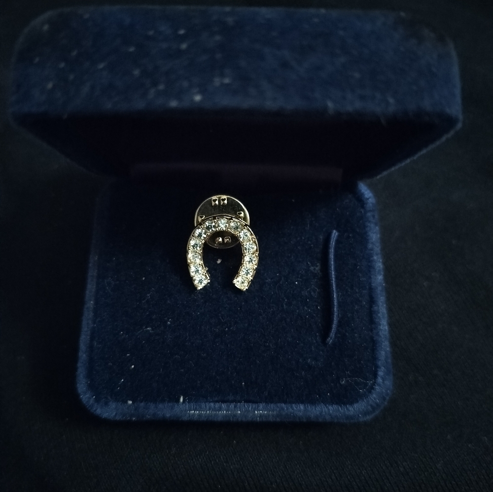 Jewelry Pin - Picture 3 of 3